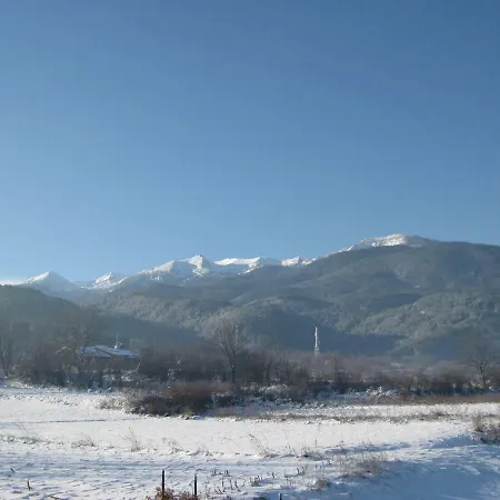 цветелина, комплекс александриa ドブリニシュテ